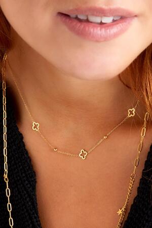 Necklace open clovers Gold Stainless Steel h5 Picture2